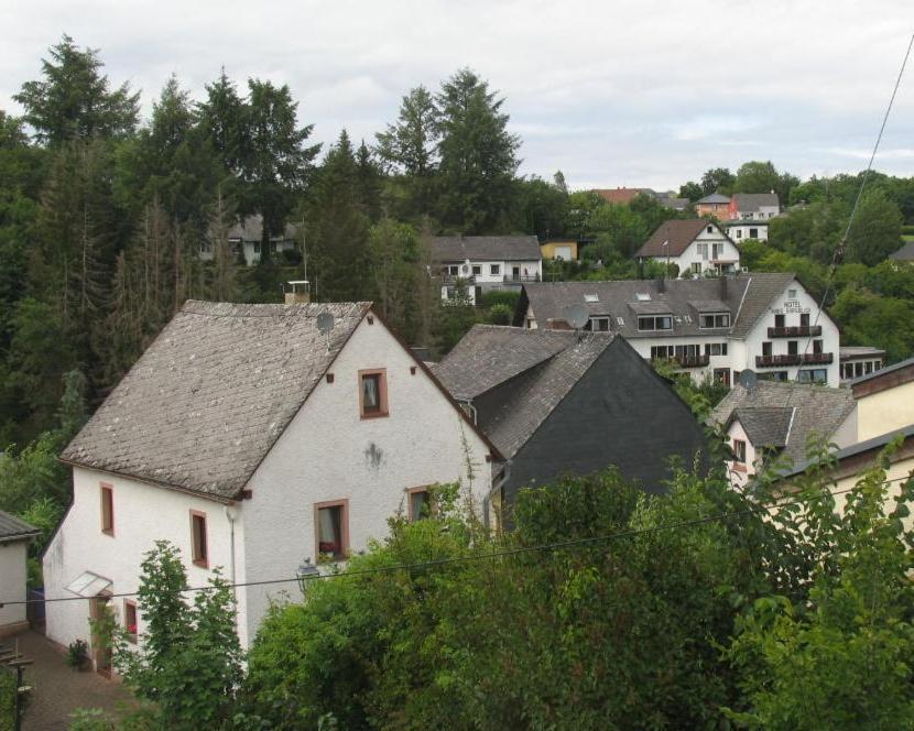 Um Die Ecke Leilighet Manderscheid Eksteriør bilde